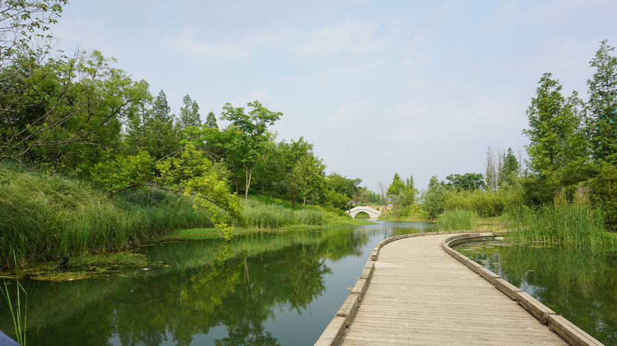 上秦淮湿地公园引导区景观丨奥澜设计