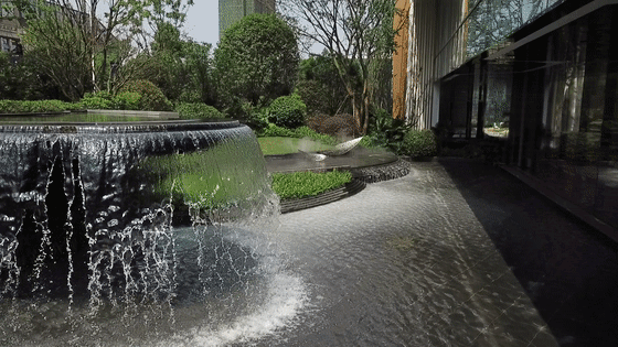 640 (2).gif