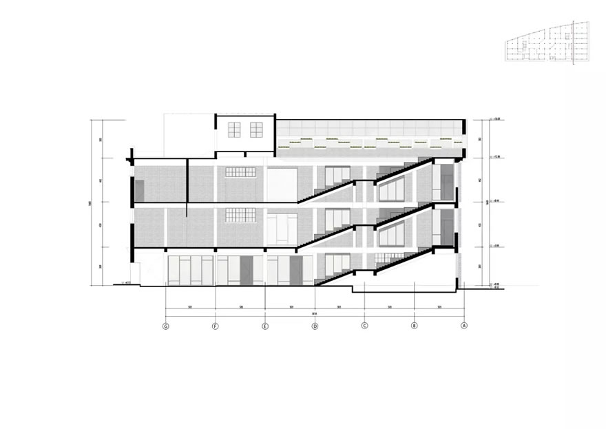 640.webp (25).jpg