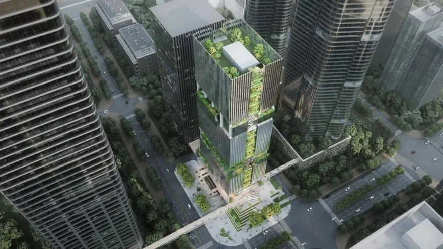 位置:中国深圳 服务范围:设计及项目建筑师 业主:传音控股 建筑面积