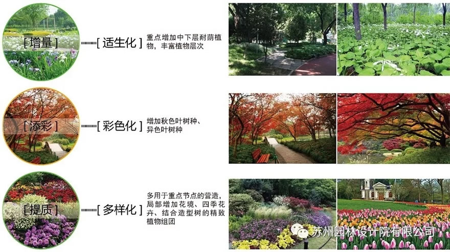 640.webp (13).jpg