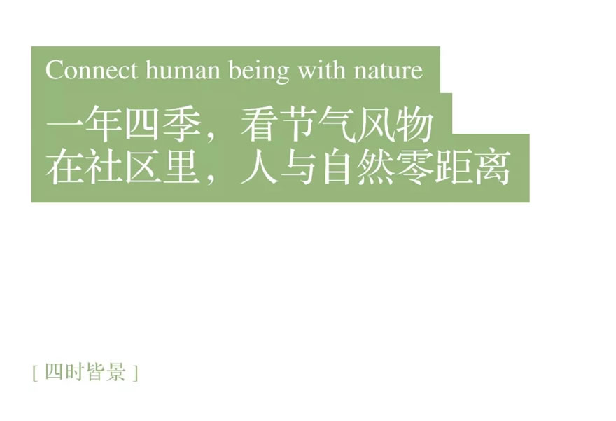 640.webp (28).jpg 640.webp (28).jpg
