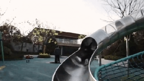 640 (4).gif