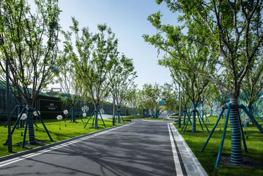 道路两旁列植林荫大树,营造绿色空间体验.