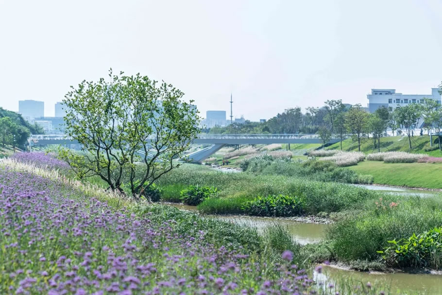 深圳茅洲河碧道·光明段生态修复试点 | EADG泛亚国际 - 景观网