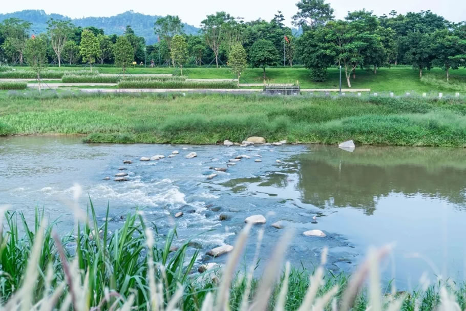 深圳茅洲河碧道·光明段生态修复试点 | EADG泛亚国际 - 景观网