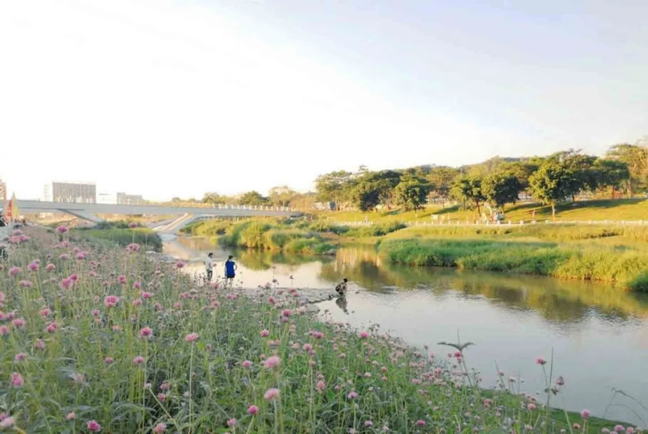 深圳茅洲河碧道·光明段生态修复试点 | EADG泛亚国际 - 景观网