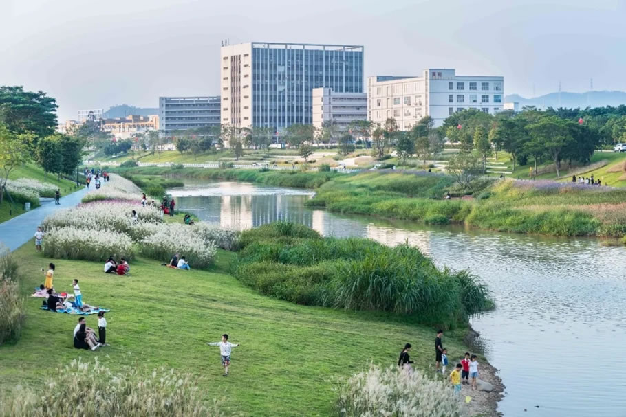 深圳茅洲河碧道·光明段生态修复试点 | EADG泛亚国际 - 景观网