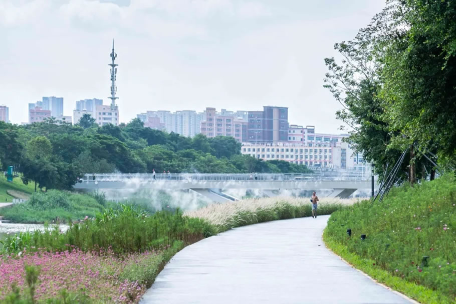 深圳茅洲河碧道·光明段生态修复试点 | EADG泛亚国际 - 景观网