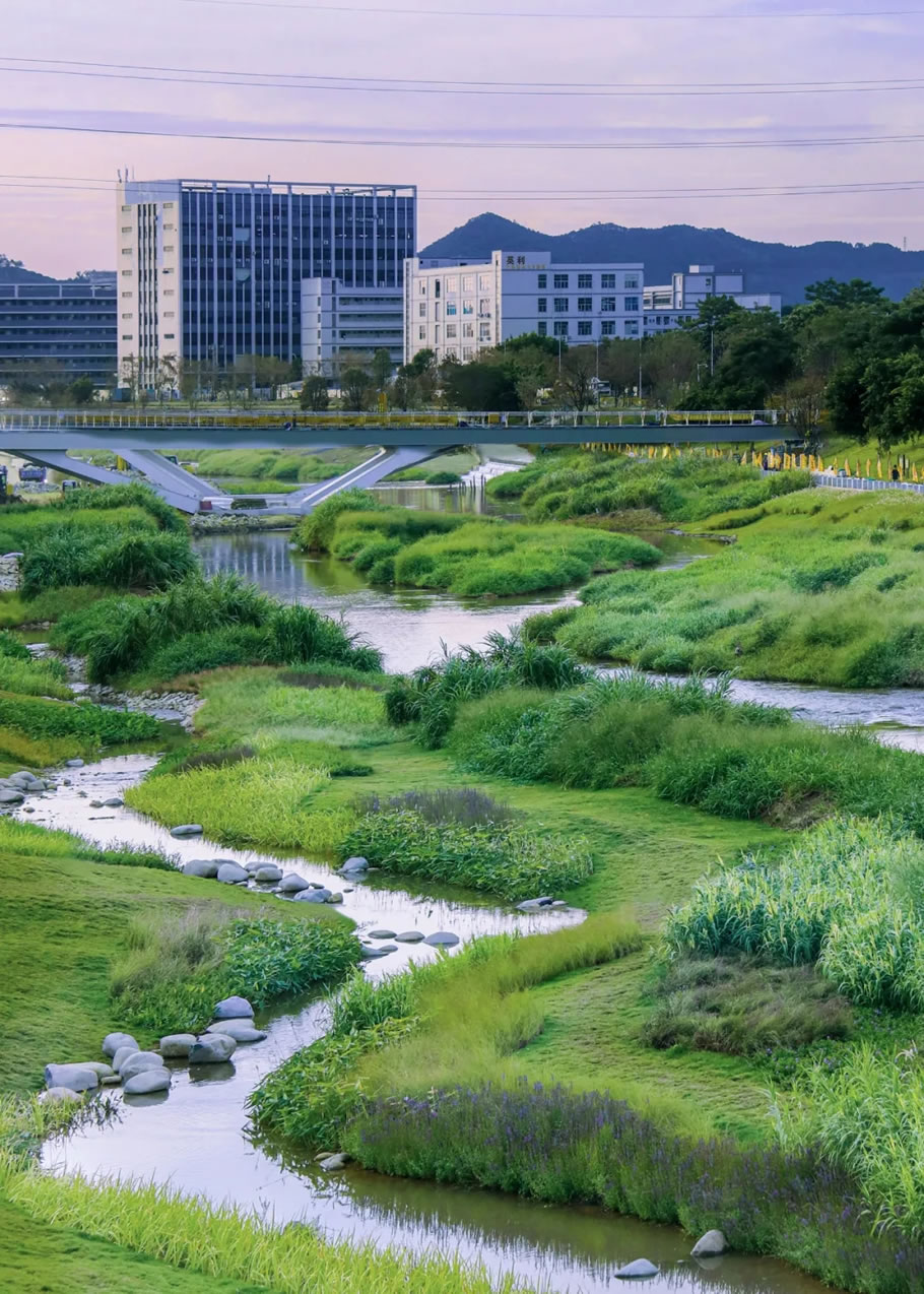 深圳茅洲河碧道试点段建设项目 | 同济设计TJAD - 景观网