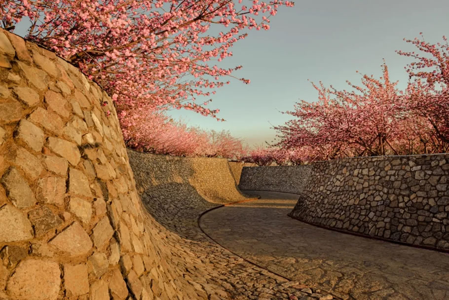 日照白鹭湾樱花小院 | 山水比德