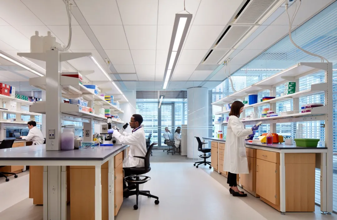 芝加哥西北大学Simpson Querrey生物医学研究中心 ｜Perkins&Will 景观网