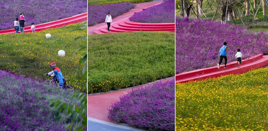 GVL吴翠平 | 环境与人文的生态，是城市更新的底色