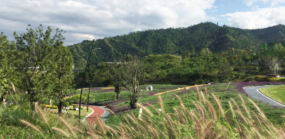 GVL吴翠平 | 环境与人文的生态，是城市更新的底色