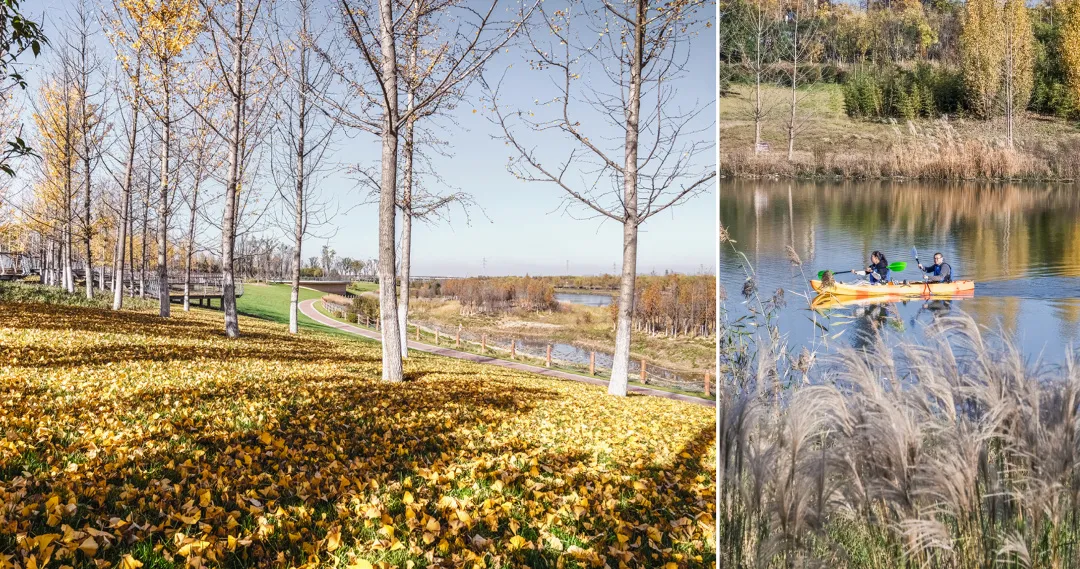 GVL吴翠平 | 环境与人文的生态，是城市更新的底色