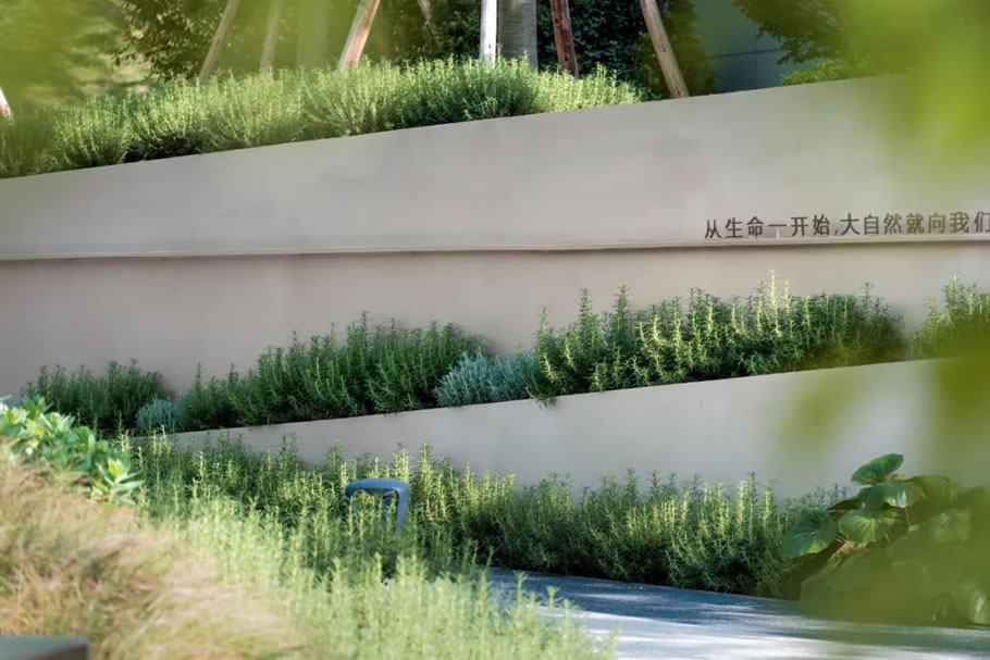 成都麓湖生态城 · 样板岛 观澜 | 蓝调国际 - 景观网