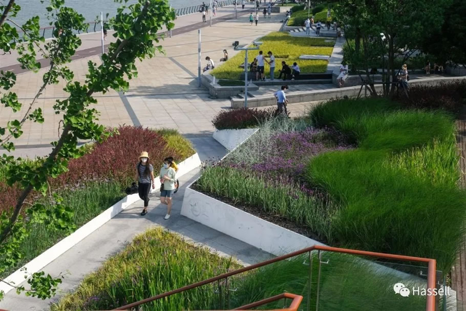 上海西岸滨水公共空间 | Hassell - 景观网