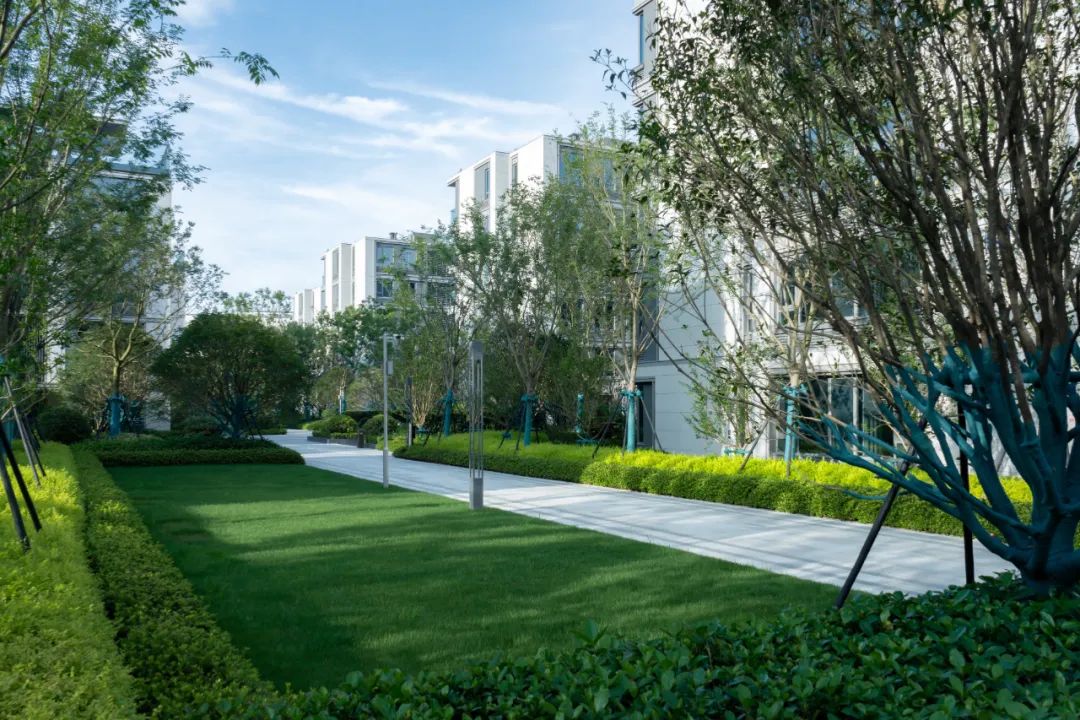 宁波绿城云栖桃花源 | 朗道国际设计 - 景观网